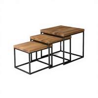 Ensemble de trois tables basses gigognes modernes, multifonctionnelles, empilables, avec rangement, structure en métal, plateau en métal, petite table, table de chevet en bois