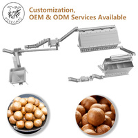 Machine à décortiquer et à peler les noix de macadamia en acier inoxydable 304, traitement de pré-rôtissage, alimentation automatique pour l'industrie des aliments en conserve
