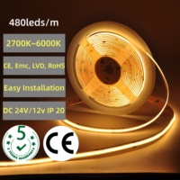 Bande LED COB en cuivre pour aménagement paysager, 480 LED/m, DC12V/24V, IP20, certifiée ROHS, 2700K-6000K, largeur PCB 8mm, 5m/rouleau, télécommande