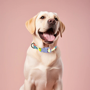 Collar para Perro de Poliéster Estilo Retro MIDEPET, Collar Personalizado Duradero con Cintas de Liberación Rápida y Estampado Colorido - Product Image 1