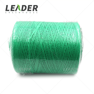 Pertanian Tomat Tali Gantung PP UV Diperlakukan Putih/Hijau Benang Dukungan Batang - Product Image 2