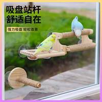 Perchoir en corde pour perroquet, jouet pour agapornis et calopsitte, bol à nourriture à ventouse pour vitre de voiture, hamac pour oiseaux