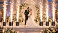 Machine à étincelles froides 600W pour effets de scène et de mariage, équipement de feux d'artifice avec télécommande DMX