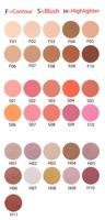 Palette de fard à paupières, fard à joues et surligneur, bricolage, nouveau Design,, vente en gros