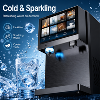 Depuratore d'Acqua RO Compatto per Camper con Doppia Alimentazione Solare/Elettrica, Serbatoio da 4L, Dispenser Acqua Calda/Fredda/Gassata per Uso Domestico e Alberghiero