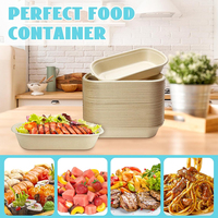 Sélection à chaud mondiale Boîte à lunch européenne personnalisée pour poitrine de poulet et salade Boîte à bagasse de canne à sucre jetable multi-taille