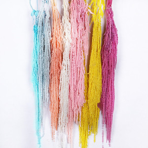 Carenado de maranthi, - Product Image 2