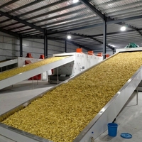 Geavanceerde fruitdroogkast met mesh-band, automatische bediening, concurrerende prijs, machine voor voedselverwerking en drogen