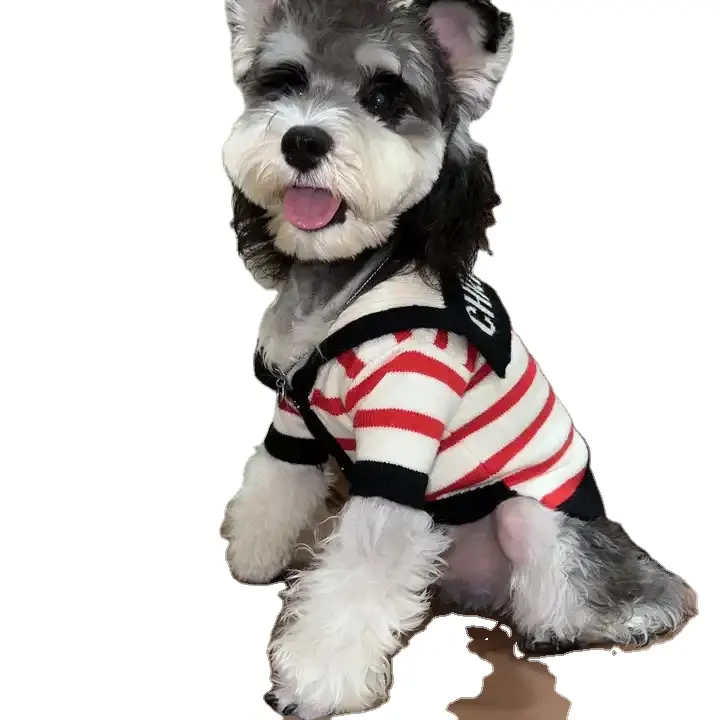 XS-2XL Small Medium Girl Dog Camisolas de inverno Knitted Pet Jumpers Girl Puppy Knitwear para outono e inverno