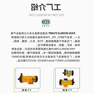 Bomba magnética NH-100PX-Z 30 40 50 10 PAN WORLD - Product Image 4