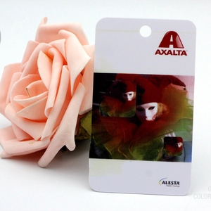 Tarjeta de Regalo de Google Play, Material Impreso en PVC, Diseño Personalizable para Producción de Tarjetas - Product Image 2