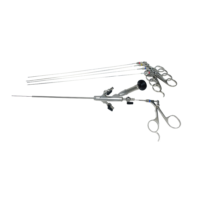 Camjoy Richard Wolf Type MINI Diagnostic Integrated Hysteroscope with Working Channel Operating Sheath TroPHYscope