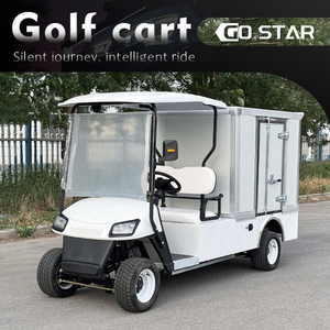 Voiturette <span class=keywords><strong>de</strong></span> golf biplace pour visites touristiques, équipée d'un grand bac isotherme, chariot <span class=keywords><strong>de</strong></span> transport <span class=keywords><strong>de</strong></span> boissons fraîches pour zones panoramiques - Product Image 1