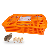 Cage pliable ZZ LMC-03 pour le transport de volailles vivantes, boîte de transport pour cailles, cage de transport pour poussins