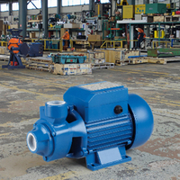 TECHNIC POWER 0.75HP QB70 0.55KW Pompe de jardin auto-amorçante Pompe à eau électrique Irrigation de surface