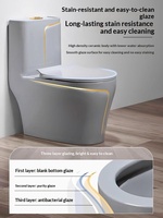 WC en céramique gris de luxe léger, à poser au sol, avec chasse d'eau à siphon, siège désodorisant anti-odeur, design coloré pour salle de bain