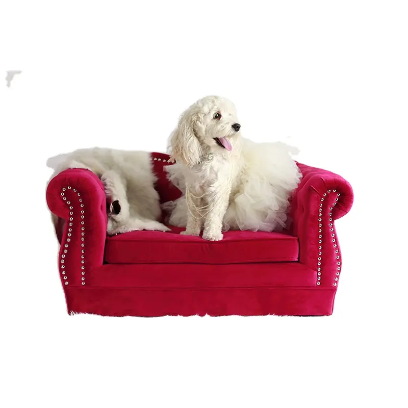 Multifunctional Hot Selling Fancy Soft Pet Sofa Dog Bed Pet Furniture Classic Sofa Contemporary Furniture With Good Price