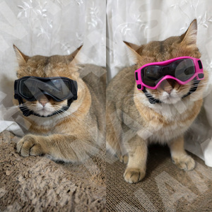 Nouvelles lunettes de soleil et lunettes de protection anti-UV <span class=keywords><strong>pour</strong></span> chiens et chats avec verres en PC et monture en silicone <span class=keywords><strong>pour</strong></span> toutes les saisons - Product Image 2