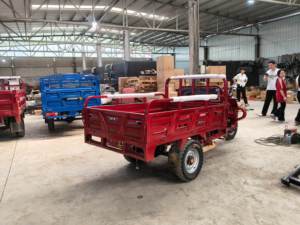 Triciclo de 200cc Más Vendido, Carro de Tres Ruedas con Carrocería Abierta/Cerrada para 2 Pasajeros - Product Image 3