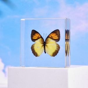 فراشة حقيقية مغلفة بعينات بيولوجية محفوظة من راتنج الكريستال لديكور المنزل وعيد الميلاد للعام الجديد - Product Image 2