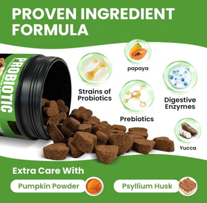 OEM/ODM <span class=keywords><strong>Perros</strong></span> Masticables Suaves Prebióticos Suplemento Digestión Probióticos Inmune Intestinal Trata <span class=keywords><strong>Alimentos</strong></span> Suplemento <span class=keywords><strong>PARA</strong></span> EL Cuidado DE LA Salud de Mascotas y Vitaminas - Product Image 2