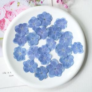 Fiori di Ortensia Naturali Essiccati a Doppio Petalo per Creazioni Fai-da-Te, Custodie per Telefoni in Resina Epossidica e Forniture per Gioielli in Resina - Product Image 2