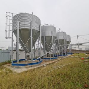 Alimentation en acier galvanisé de qualité supérieure pour élevage de volaille - Product Image 3