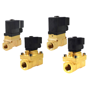 صمام ملف لولبي عالي الضغط 50 بار بضغط عال درجة الحرارة من نوع acbsp 12 فولت 24 فولت تيار مستمر 220 فولت N.C من نوع PTFE صمام نحاسي تجريبي - Product Image 2