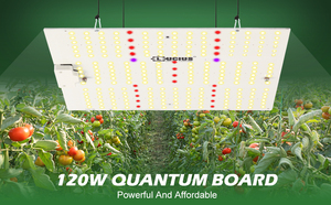 บอร์ดไฟไฮโดรโปนิกส์ไฟ LED เติบโต2.5umol 120W - Product Image 6