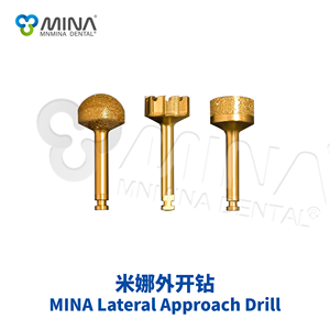 Kit d'approche latérale du sinus MNMINA DENTAL MINA de qualité supérieure (édition de luxe) argent/<span class=keywords><strong>or</strong></span>, instruments chirurgicaux dentaires de classe I - Product Image 2