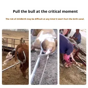 อุปกรณ์ช่วยคลอดวัวนำเข้า ทำจากสแตนเลส สำหรับวัวนมและวัวเนื้อ อุปกรณ์ช่วยคลอดลูกวัว - Product Image 4