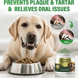 Suplemento Dental en Polvo para <span class=keywords><strong>Perros</strong></span> y Gatos Mayores, de Absorción Rápida, Apoyo Natural para la Salud Bucal, Inmunológica y Dental, Aprobado por Veterinarios (OEM/ODM) - Product Image 5