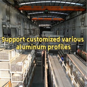 Profili in Alluminio con Verniciatura a Polvere Tiger Austriaca per Porte, Produzione Cinese - Product Image 3