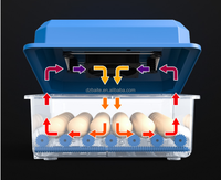 Incubateur Entièrement Automatique de 16 Œufs avec Éclosoir Automatique pour Poussins, Canards, Oies et Pigeons