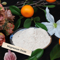 Poudre de magnésie légère brûlée à 75 % en gros, excellente coagulation pour plaques de magnésie extérieures