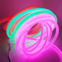 LED-Rundrohrleuchte aus Reinem Silikon, Neon-Lichtschlauch, Außen Wasserdicht, D25MM, 360-Grad-Lichtemittierender Flexibler Streifen