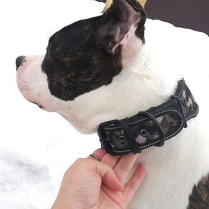 Luxury Modern Anti-Explosion <strong>Dog</strong> Leash Shiny Rhinestone Pet <strong>Collar</strong> Personalized Nylon Accessory With Neck Ropes - Product Image 6
