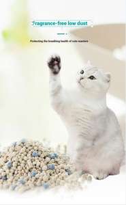 بيع بالجملة OEM توريد فضلات قطط ببنتونيت بكميات كبيرة 5 */10 * * خيارات تصدير عالمية - Product Image 5