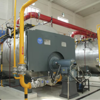 Chaudière à vapeur industrielle WNS8-1.25-Y.Q, 8 tonnes, gaz/fioul, automatique, horizontale, à tubes de feu, basse pression, pour l'industrie alimentaire/plastique