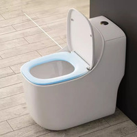 Ensemble de toilette monobloc en céramique à double chasse d'eau Réservoir dissimulé Articles sanitaires en marbre de couleur personnalisée P-Trap Drainage WC Accessoire de salle de bain