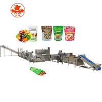 Gedroogde Groenten En Fruit Chips Maken Machine Vacuüm Knapperige Gebakken Gedroogde Groenten Fruit Chips Productielijn