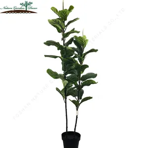 De alta calidad de fruta Artificial Lyrata Pandurata plantas árbol de higo