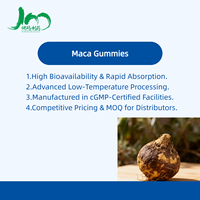 Gummies à l'extrait de racine de maca biologique, approvisionnement direct usine, pour la vitalité masculine, complément énergétique sain, Maca noire Plus
