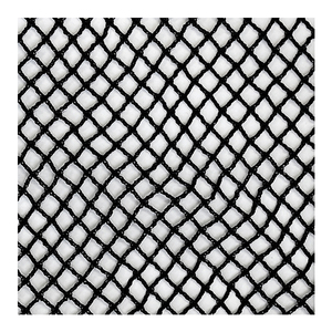 Biển dưa chuột biển xúc xích 2cm 3cm hàu lưới nuôi trồng thủy sản lồng Net/sò lồng lồng đèn lồng Net - Product Image 1