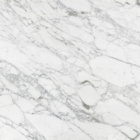 Dalles de marbre blanc Calacatta naturel haut de gamme Newstar, polies, pour projets de carrelage
