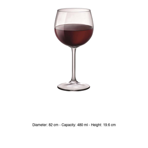 Copa de Degustación Bormioli Rocco Riserva Barolo 48 cl H 19.6 cm Ø 8.2 cm - Product Image 3