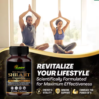 Complément alimentaire à base de plantes, capsules de Shilajit de l'Himalaya, complément énergétique et de vitalité pour adultes avec acide fulvique, OEM/ODM