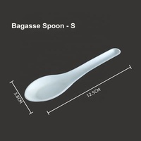 Cuillère jetable en bagasse de canne à sucre blanche, biodégradable et compostable, pour soupes et desserts