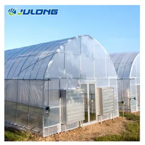low cost professional agriculture vegetable large poly plastic tunnel single span greenhouses for sale