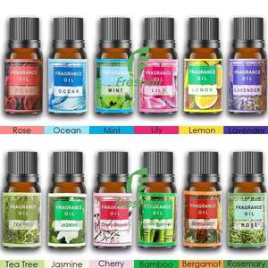 Perfume de aromaterapia de aceite esencial Soluble en agua de alta calidad para difusor humidificador jazmín con aroma a vainilla - Product Image 1